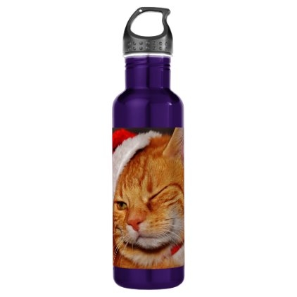 Orange cat - Santa claus cat - merry christmas Stainless Steel Water Bottle