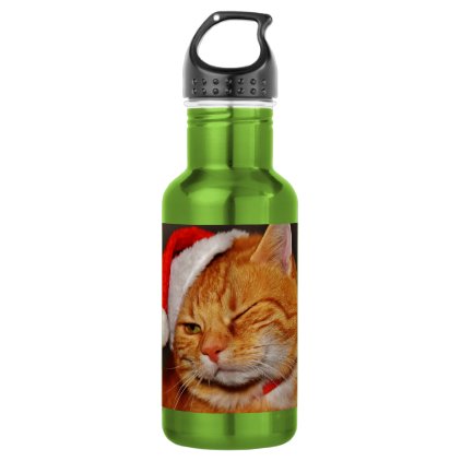 Orange cat - Santa claus cat - merry christmas Water Bottle