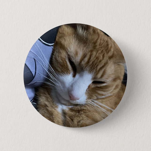 Orange Cat Sleeping Button (Front)