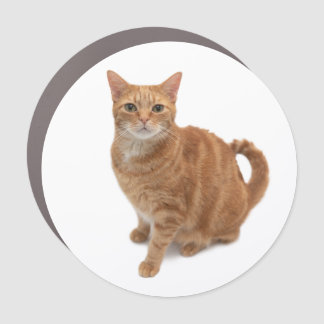 Orange Cat Standing Car Magnet