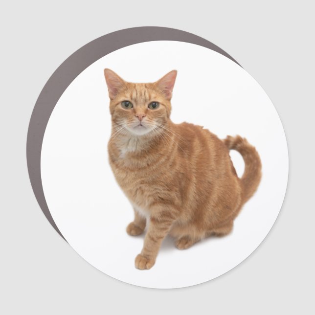 Orange Cat Standing Car Magnet (Front)