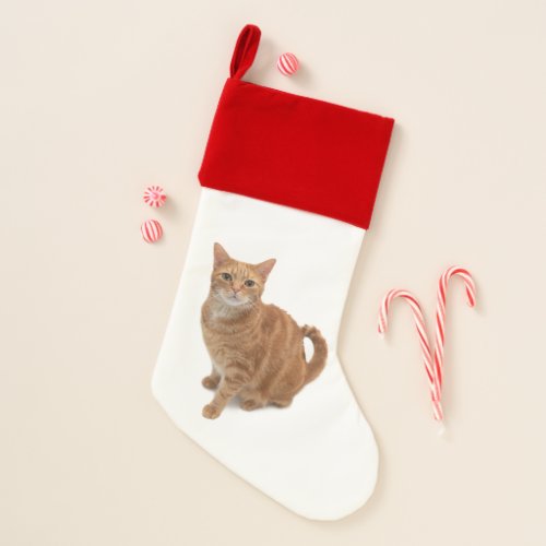 Orange Cat Standing Christmas Stocking