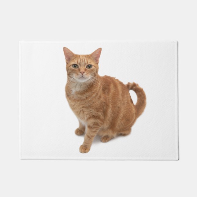 Orange Cat Standing Doormat (Front)
