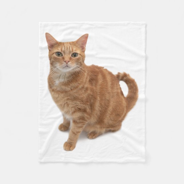 Orange Cat Standing Fleece Blanket (Front)