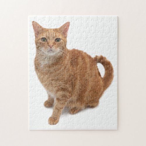 Orange Cat Standing Jigsaw Puzzle