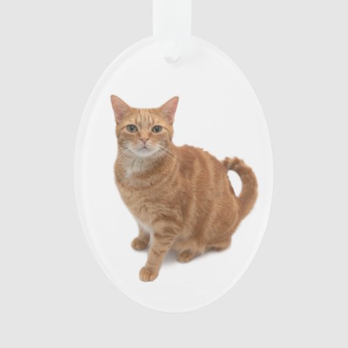 Orange Cat Standing Ornament