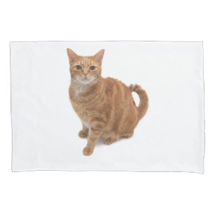 Orange Cat Standing Pillow Case