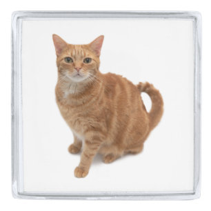 Orange Cat Standing Silver Finish Lapel Pin
