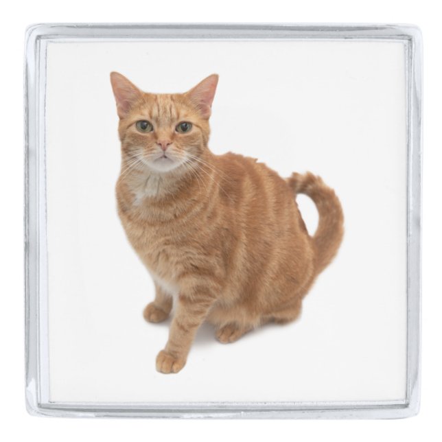 Orange Cat Standing Silver Finish Lapel Pin (Front)