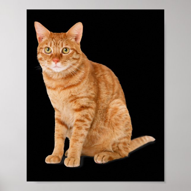 Orange Cat Tab Funny Cat Parody Cat Lover Gift Kit Poster (Front)