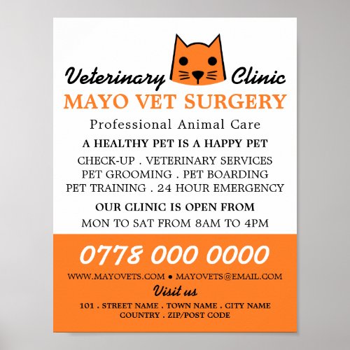 Orange Cat Veterinarian Veterinary Service Poster