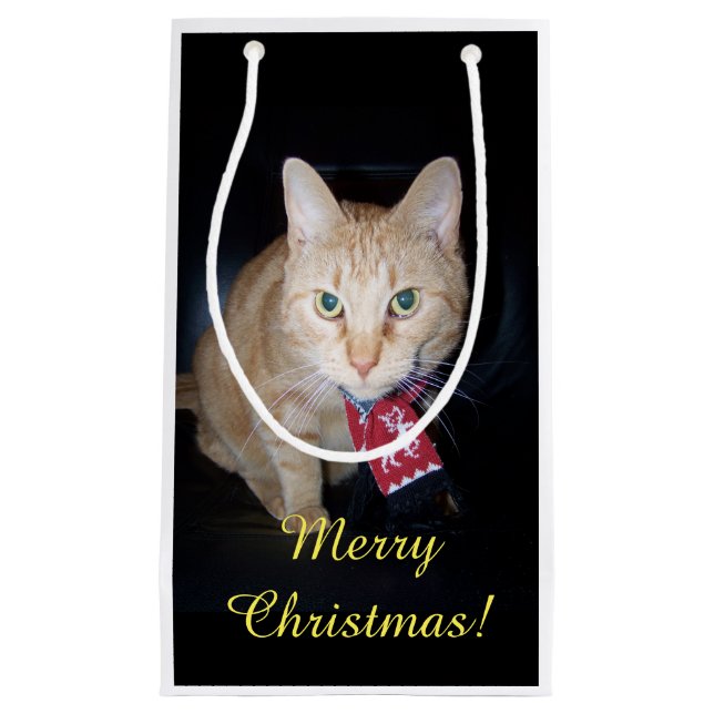 Orange Cat Wearing Scarf Christmas Gift Bag (Front)