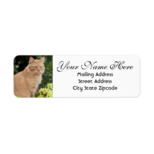 Orange Cat with Flowers Return Address Label