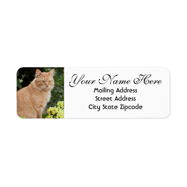 Orange Cat with Flowers Return Address Label (Front)
