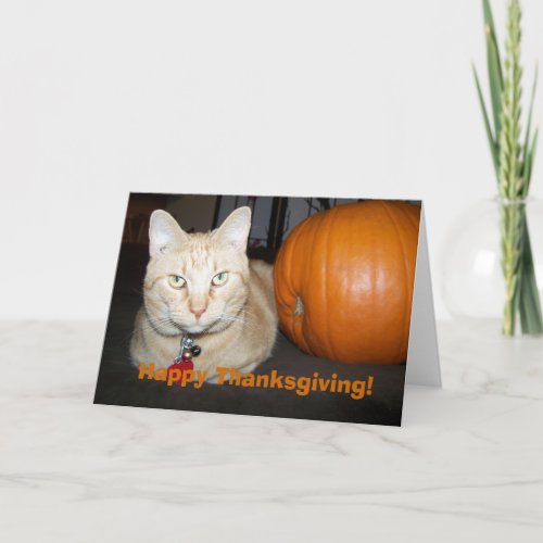 Orange Cat With Pumpkin Happy Thanksgiving Card