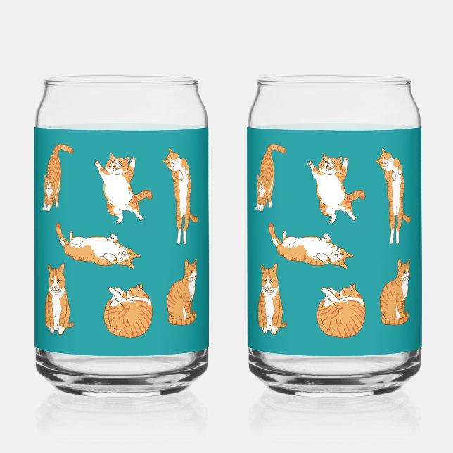 Orange Cats Funny Can Glass (Front)