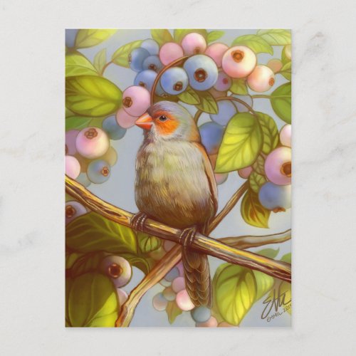 Orange cheeked waxbill finch with blueberries postcard