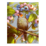 Orange Cheeked Waxbill Finch With Blueberries Realistic Painting Postcard