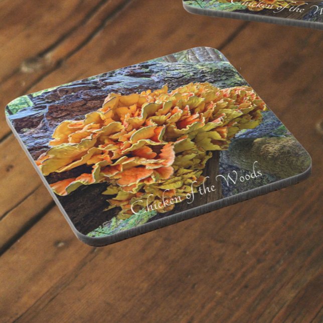 Orange Chicken of the Woods Mushroom Beverage Coaster (In Situ)