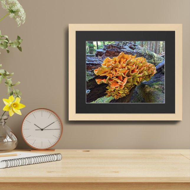 Orange Chicken of the Woods Mushroom Framed Art (Table Top)