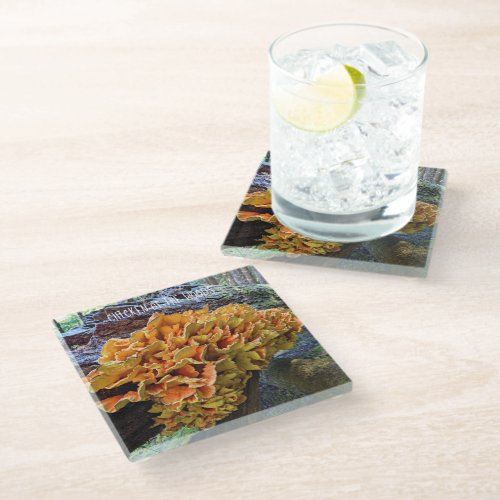 Orange Chicken of the Woods Mushroom Glass Coaster