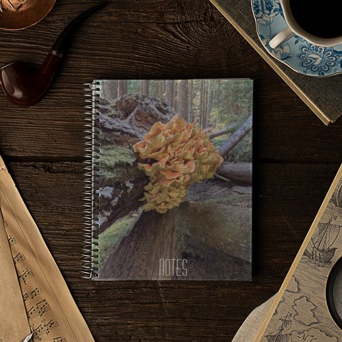 Orange Chicken of the Woods Mushroom Notebook