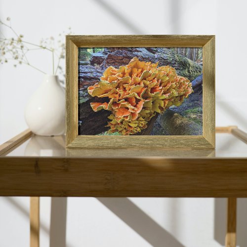 Orange Chicken of the Woods Mushroom Photo Print