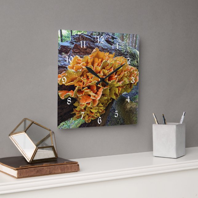 Orange Chicken of the Woods Mushroom Square Wall Clock (Office)