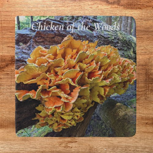 Orange Chicken of the Woods Mushroom Trivet