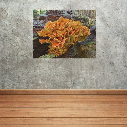 Orange Chicken of the Woods Mushroom Wood Wall Art