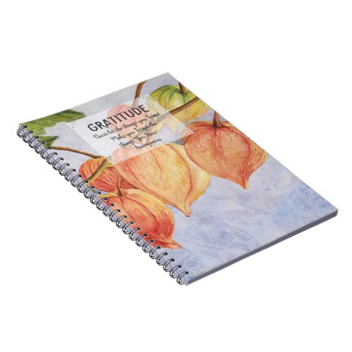 Orange Chinese Lanterns Gratitude Notebook