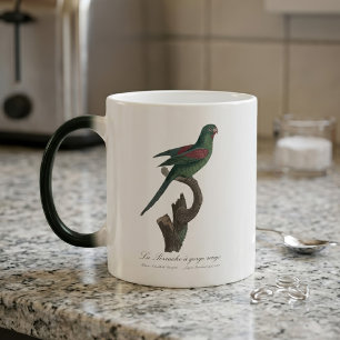 Orange-Chinned Parakeet, Brotogeris jugularis Color Morph Mug