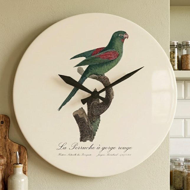 Orange-Chinned Parakeet, Brotogeris jugularis Large Clock (Orange-Chinned Parakeet, Brotogeris jugularis. Large Clock)