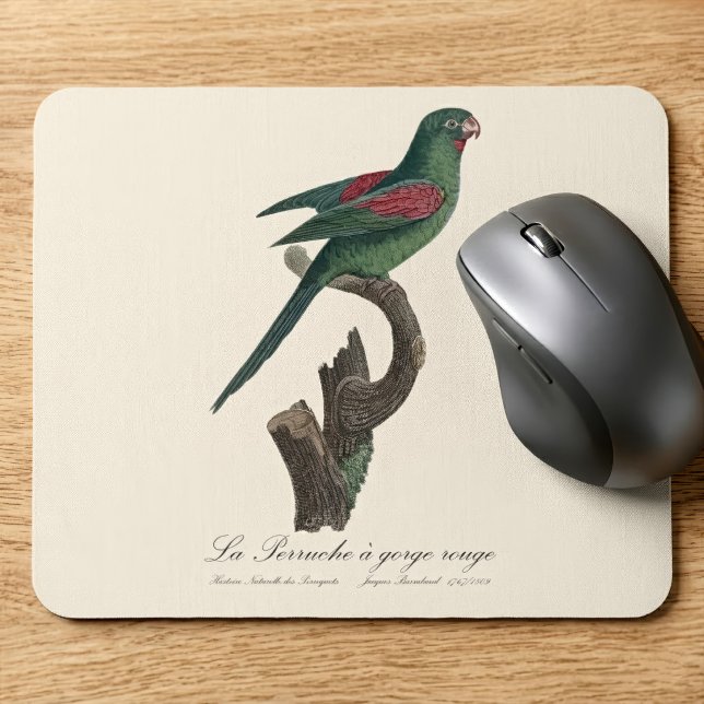 Orange-Chinned Parakeet, Brotogeris jugularis Mouse Pad (Orange-Chinned Parakeet, Brotogeris jugularis. Mouse Pad)
