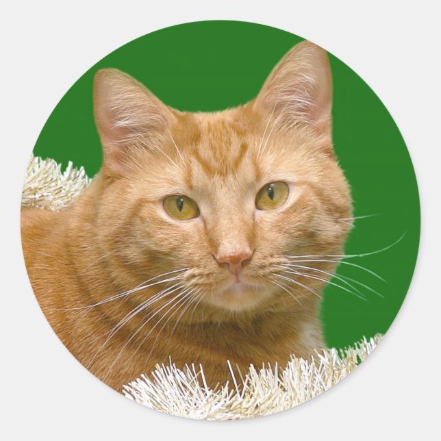 Orange Christmas tabby Classic Round Sticker (Front)