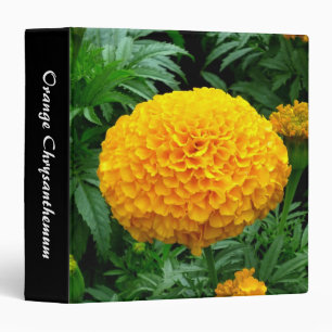 Orange Chrysanthemum (1.5in) Binder