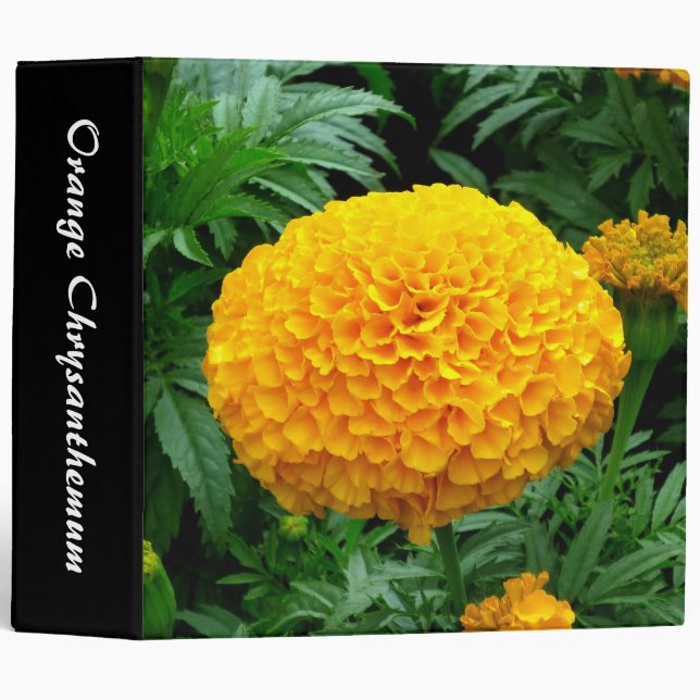 Orange Chrysanthemum (2.0in) Binder (Front/Spine)