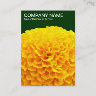 Orange Chrysanthemum - Dark Green 003300 Business Card