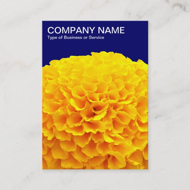 Orange Chrysanthemum - Deep Navy Business Card (Front)