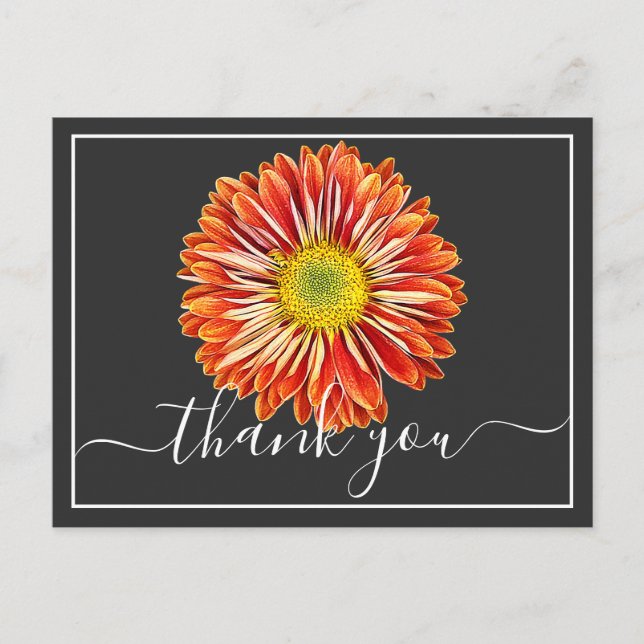 Orange Chrysanthemum Gray Background Thank You Postcard (Front)