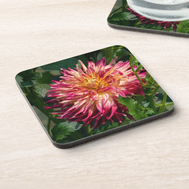 Orange Chrysanthemum Photography, Canadian Beauty Beverage Coaster (Left Side)