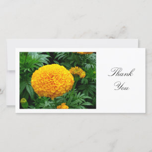 Orange Chrysanthemum - Thank You Card