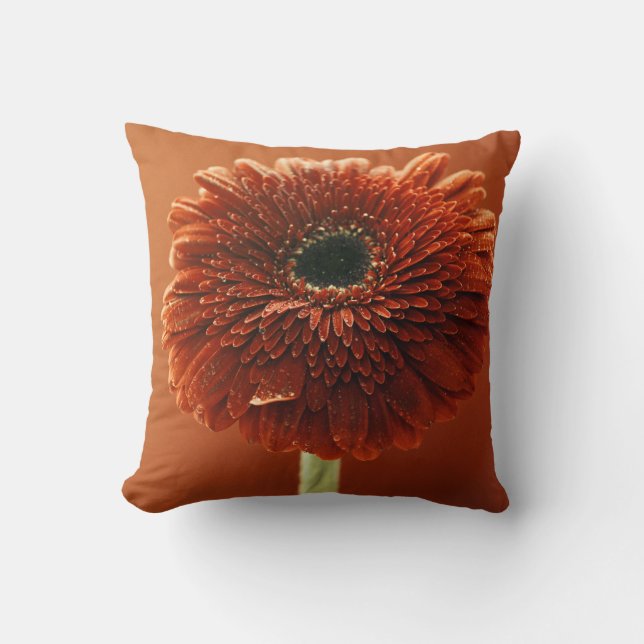 Orange chrysanthemum throw pillow (Front)
