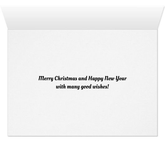 Orange, Cinnamon, Pine Cone, Anise Wreath Painting (Inside Horizontal (Bottom))