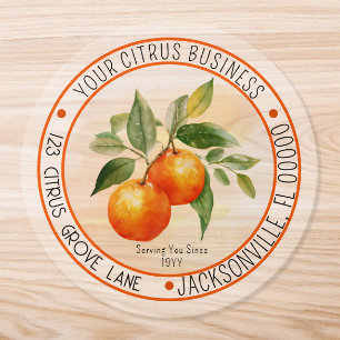 Orange Citrus Fruit Circle Return Address Classic Round Sticker