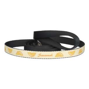 Orange Citrus Fruit Slices With Custom Pet Name Leash