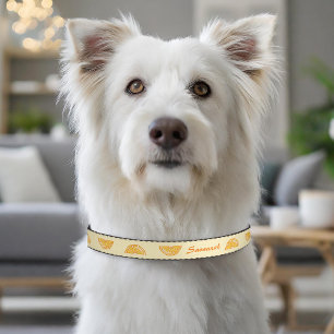 Orange Citrus Fruit Slices With Custom Pet Name Pet Collar