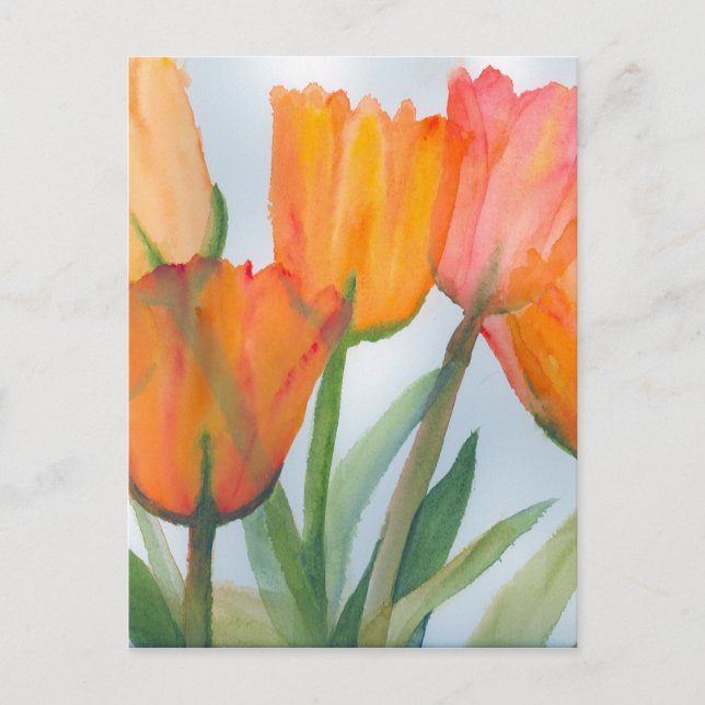 Orange Citrus Tulips Postcard (Front)