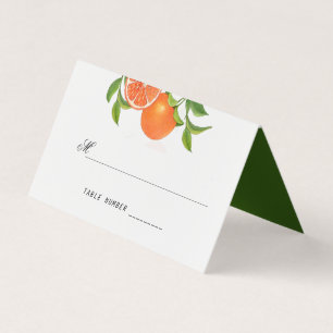 Orange Citrus watercolor wedding place card