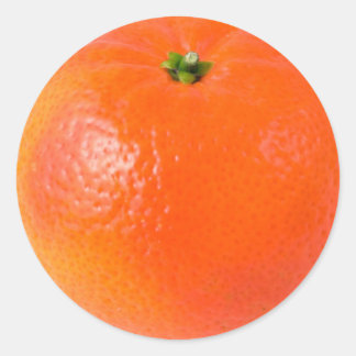 Orange Classic Round Sticker